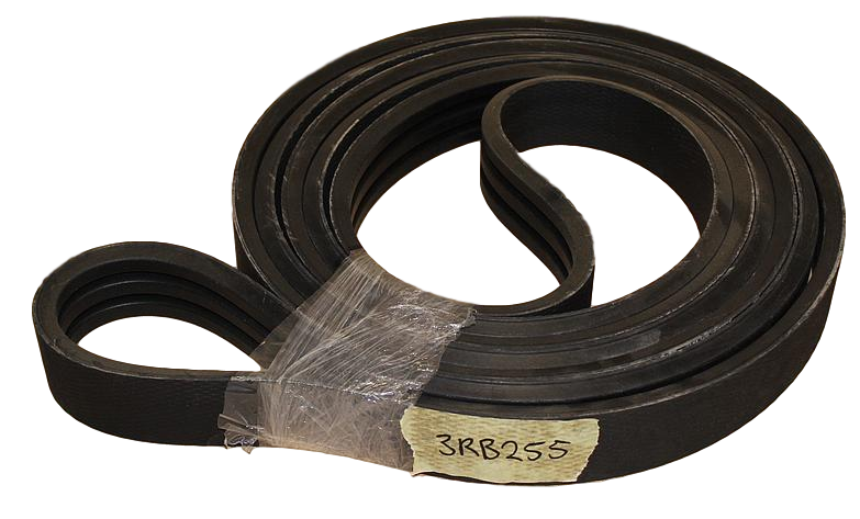 Banded Belt B255/3