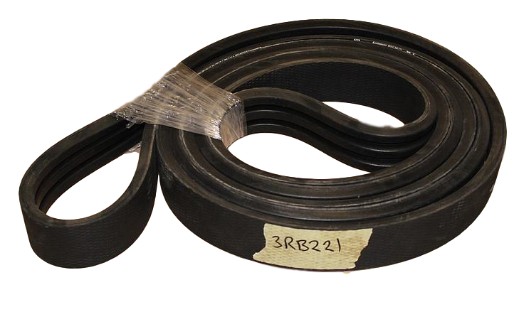 Banded Belt B221/3